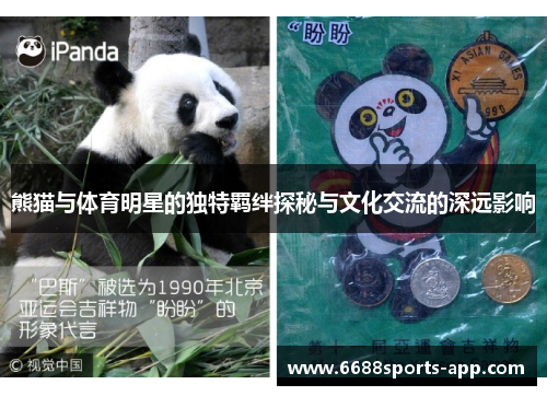 熊猫与体育明星的独特羁绊探秘与文化交流的深远影响